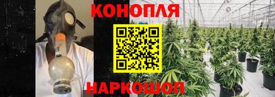 каннабис Новозыбков