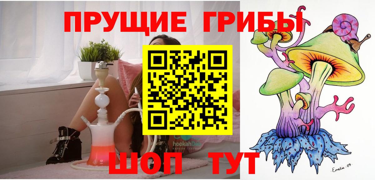 Псилоцибиновые грибы ЛСД  цена наркотик  Тулун  Вход с VPN 